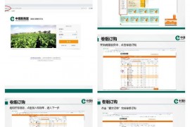 中烟新商盟订购流程图